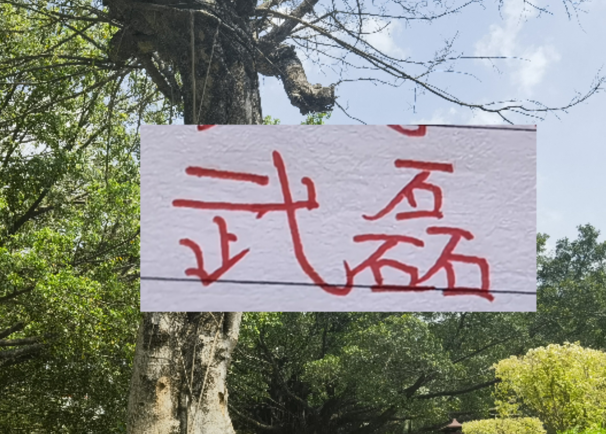 彩经网开奖-2月海港就要打亚冠比赛 大概率武磊+莱昂纳多 这些一哥上不了